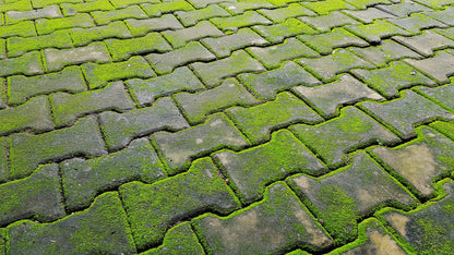 a walkway cement floore tiles with moss and grass.stone walkway
