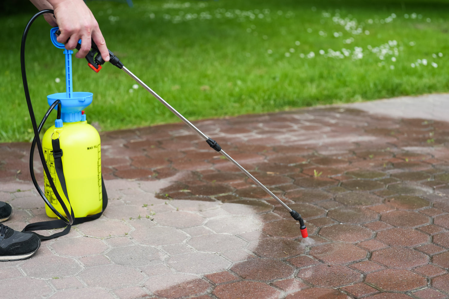 Person using a yellow and blue pressure washer on a brick patio with grass in the background